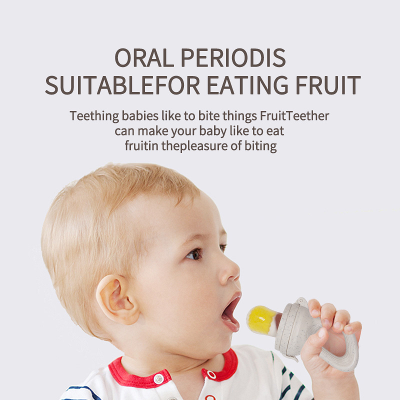 1 Stuk Baby Fruit Feeder Vers  - Baby Food Vegetables recensie en prijs